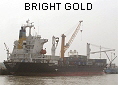 BRIGHT GOLD IMO9154830
