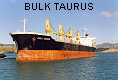 BULK TAURUS IMO9104550