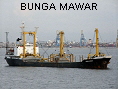 BUNGA MAWAR IMO8015087