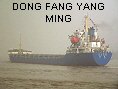DONG FANG YANG MING