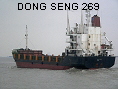 DONG SENG 269