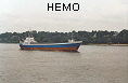 HEMO IMO6901593