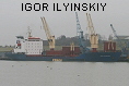 IGOR ILYINSKIY IMO8711253