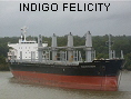 INDIGO FELICITY IMO9553804