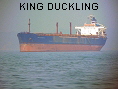 KING DUCKLING IMO7810284
