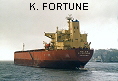 K. FORTUNE IMO9100085