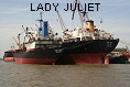 LADY JULIET IMO8225204
