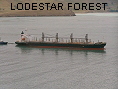 LODESTAR FOREST IMO9295153