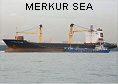MERKUR SEA IMO8310906