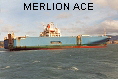 MERLION ACE IMO8303989