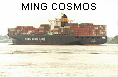 MING COSMOS IMO9198288