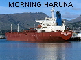 MORNING HARUKA IMO9313266