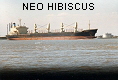 NEO HIBISCUS IMO8308903
