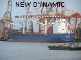 NEW DYNAMIC IMO9229609