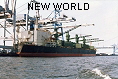 NEW WORLD IMO8307155