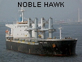 NOBLE HAWK IMO9331933