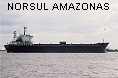 NORSUL AMAZONAS IMO8126393