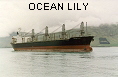 OCEAN LILY IMO8912259