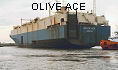 OLIVE ACE IMO7628174
