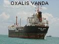 OXALIS VANDA IMO9015383