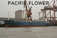 PACIFIC FLOWER IMO9170913
