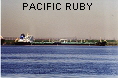 PACIFIC RUBY IMO9047427