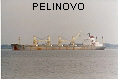 PELINOVO IMO8118138