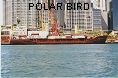 POLAR BIRD IMO8403533