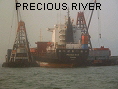 PRECIOUS RIVER IMO8128860