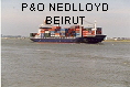 P&O NEDLLOYD BEIRUT IMO9060273