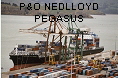 P&O NEDLLOYD PEGASUS IMO9227326