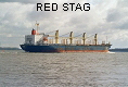 RED STAG IMO9060235