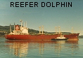 REEFER DOLPHIN IMO8217104