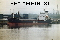 SEA AMETHYST IMO8520824