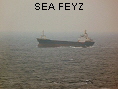 SEA FEYZ IMO8101537