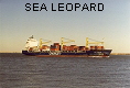 SEA LEOPARD IMO9150195