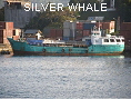 SILVER WHALE IMO8862193