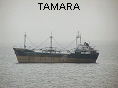 TAMARA IMO7105706