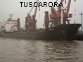 TUSCARORA IMO8120698