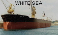 WHITE SEA IMO7373949