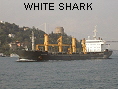 WHITE SHARK IMO9052733
