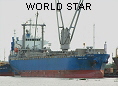 WORLD STAR IMO9260988